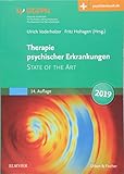 Therapie psychischer Erkrankungen: Mit Zugang zur Medizinwelt by