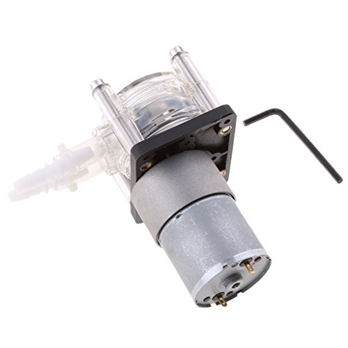 Preisvergleich Produktbild Gazechimp Dosiergerät Zubehör Kleine Dosierpumpe Korrosionsschutz Vakuumpumpe Saugpumpe - Silber - 24V