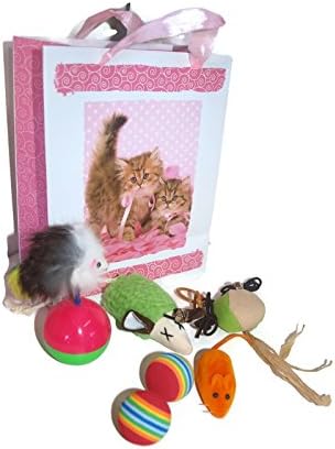 Cat Toys For Indoor Cats Pack Set 6 Bundle Balls Mice With Feathers And Fur In A Gift Bag
