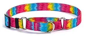 Yellow Dog Design Tie-Dye Martingale Dog Collar-Size Large-1 Inch Wide and fits Neck Sizes 18 to 26 inches