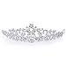 Tinksky Delicate Wedding Bridal Prom Shining Crystal Rhinestones Butterfly Love Flower Crown Headband Veil Tiara (Silver)
