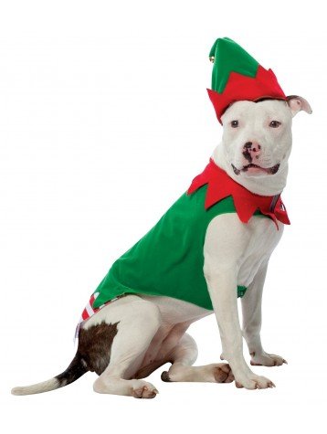 Rasta-Imposta-Elf-Parent