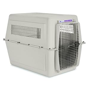 Petmate 21142 Transportin Vari Kennel Ultra 21, 54 x 41 x 39 cm