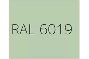 MASTER INDUSTRIA PER L'EDILIZIA Resina Epossidica Satinata per Piastrelle e Superfici Facile Applicazione 12 MQ (Epofix Coat) (RAL6019, 1 Kg)
