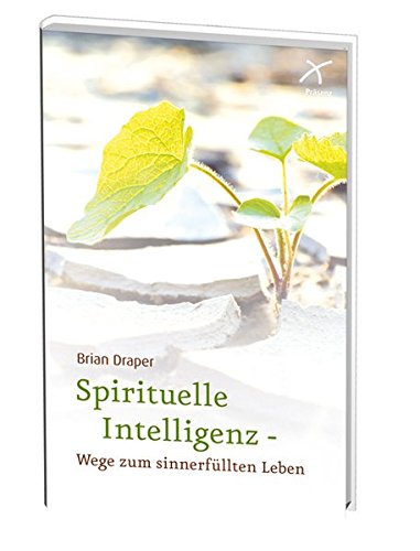 Preisvergleich Produktbild Spirituelle Intelligenz - Wege zum sinnerfüllten Leben