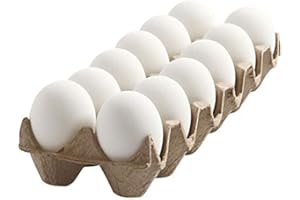 CREATIV DISCOUNT® NEU Hühnereier aus Plastik, 6cm, 12 Stück