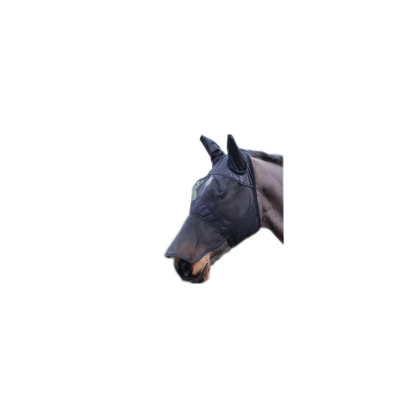 Horse ‘n’ Pony