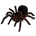 Produktbild Fernbedienung RC Spinne - TOOGOO(R)8" RC Ferngesteuerte Spinne Fernbedienung Spider Spielzeug Geschenk Deko Riesenspinne Tarantel Tarantula