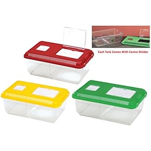 Heritage aquazoo 16große Zucht Box Frosch Terrapin Tank Insekten Reptile Terrarium Vivarium 15L