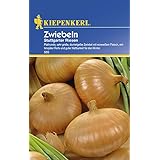 Zwiebelsamen - Zwiebeln Stuttgarter Riesen von Kiepenkerl