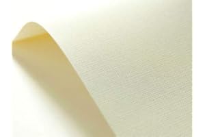 Netuno 400x cartoncino goffrato raster avorio formato A4 210x 297 mm 246 g carta speziale goffrata a4 per biglietti da visita biglietti invito partecipazione cartoncini embossed texture avorio