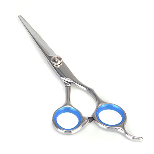 Remylady® 6 Zoll 15,2cm Friseurschere Effilierschere Haarschere Haarschneideschere mit einseitiger Mikroverzahnung (Stehlen) - 6