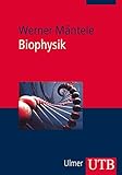 Image de Biophysik