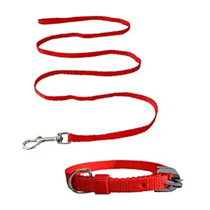 Doggos Tails Puppy Nylon Red Leash with Collar Set - Small
