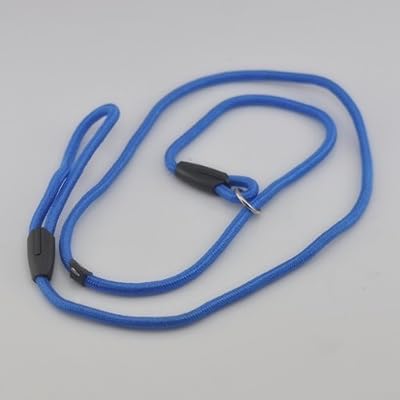 LOOYUAN Nylon Rope Dog Whisperer Cesar Millan Style Slip Training Leash Lead and Collar (Blue, M: Diameter 1cm) by