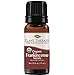 Produktbild Plant Therapy USDA Certified Organic Frankincense Serrata Essential Oil 10 mL (1/3 oz) 100% Pure, Undiluted, Therapeutic Grade
