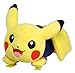 Pokemon Japan national football team With Pokemon Pikachu how glue RS.4275.00