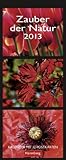 Image de Zauber der Natur 2013 Panorama Postkartenkalender: Kalender mit 12 Postkarten