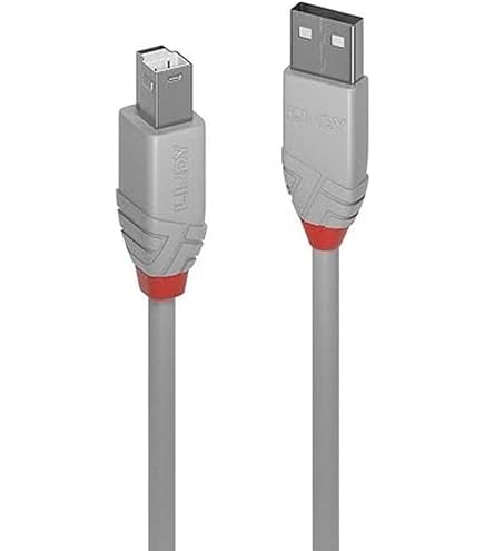 Goobay 68606 USB 2.0 Hi-Speed Kabel – 1 M, Transparent, Typ A Auf Typ B