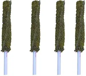 planatzee Moss Stick for Climbing House Plants - 5 Ft pack of 4