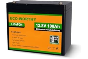ECO-WORTHY LiFePO4 Batteria Litio 12v 100Ah con Protezione BMS a Bassa Temperatura e 4000+ cicli, Batteria da 1280Wh per Camper, Barca, Casa, Kit di Pannelli Solari, Campeggio