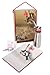 Produktbild iSi Culinary Ensemble Geschenk-Set Gourmet Whip Plus 0,5 l