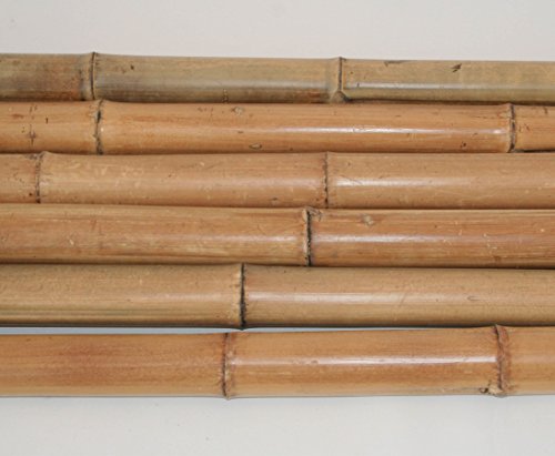 Bambusrohre Moso 200cm gelbbraun Durch. 6 bis 7cm, hitzebehandelt – Bambus Rohr Bambus Latten farbige Bambusrohre Bamboo Bambus Halbschale Bambusstangen –> großes Sortiment an Bambusrohre und Rohre aus Bambus Bambus-Rohre - 2