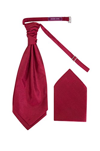 Dresscode Corbata de Corbata Pre-Decorada Para Hombres Corbata y Pañuelo a Juego (Borgoña)