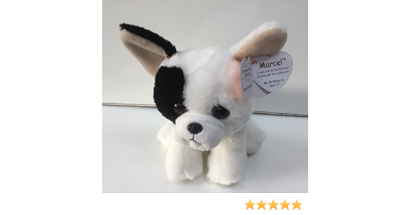 marcel beanie boo birthday