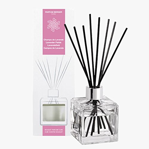 Parfumbouquet Set Cube Wilder Lavendel / Champs de Lavande von Lampe Berger - 2