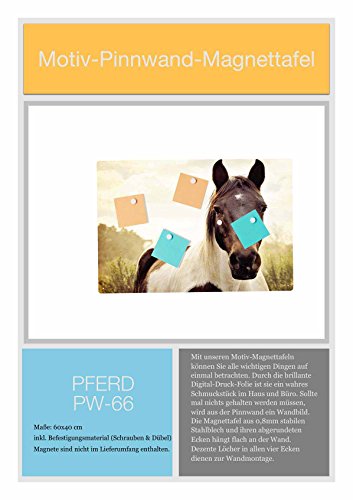 Pinnwand Memoboard Magnettafel 60×40 Pferd PW66 - 3