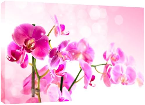 MOOL 32 x 22-inch Purple Orchid Flower Canvas Wall Art Print