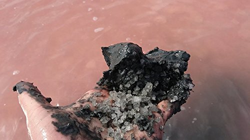 SIVASH-Heilerde Medizinprodukt zur äußerlichen Anwendung. Gebrauchsfertiger Meeresschlick in natürlicher Form. Natürliche Hilfe bei Rheuma, Arthrose, Arthritis, Gicht, Überbein (Ganglion), Akne, Psorasis, Neurodermitis (15kg)