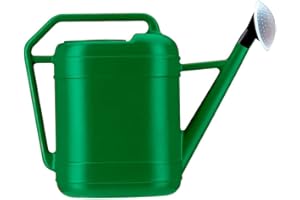 Saturnia 5080010 Arrosoire en plastique 6 l