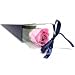 6 x long stem roses - soap petals - bath gift 30 cm long each - individually boxed - present romantic - pink / blue / red - BELLE AVENUE RETAIL