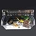 Produktbild Reptil Zuchtbox Terrarium, 24 x 15 x 10 cm Stapelbar Tutschfeste Piste Design transparente Pet-Reptilien Schlupftanks Container für Schlangenspinne Echse Skorpion Hundertfüßer Gehörnter Frosch Gecko
