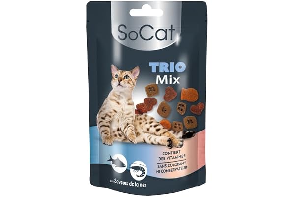 Riga - SoCat Trio Mix - Friandises pour Chat - Assortiment Aux Saveurs De La Mer (Saumon, Crevette, Truite) - Biscuit Croquant - sans Colorant Ni Conservateur - Récompense Idéale 60 g