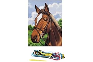 Kit Canevas Portrait cheval - 29