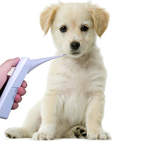 Digital-Pet-Thermometer-Measurement-Pet-Oral-Anus-Temperature-in-8-Seconds-Can-be-used-for-dogs-cats-birds-and-Cow-CF-Switch