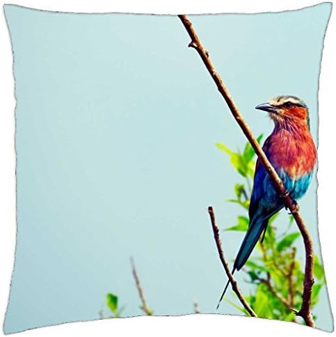 Colorfull Bird - Throw Pillow Cover Case (18" x 18")