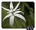 Produktbild White Fragrance. Mouse Pad,Flowers Non-Slip Mouse Pad Office Competitive Mouse Pad 18X22cm