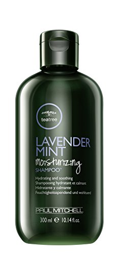 Paul Mitchell Tea Tree Lavender Mint Shampoo, 1er Pack (1 x 300 ml)