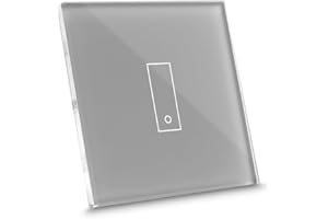 iotty E1 PLUS, Interrupteur connecté pour lumières et portails, compatible Google/Alexa/Siri/IFTTT, applis IOS/Android, plaque tactile, verre rétroéclairée, capteurs de température/luminosité, gris