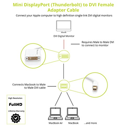 BlueRigger Mini Displayport (Thunderbolt) zu DVI Female Adapter-Kabel - 2