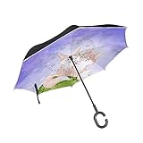 El papel del paraguas: sombrilla, paraguas de lluvia