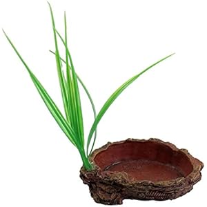 Ziegelrot ovale Form Resin Terrarium Behälter Reptilien-Teller-Schüssel mit Gras