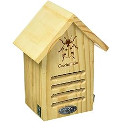 Esschert Wa37 Ladybug Maison avec Ligne Dessin