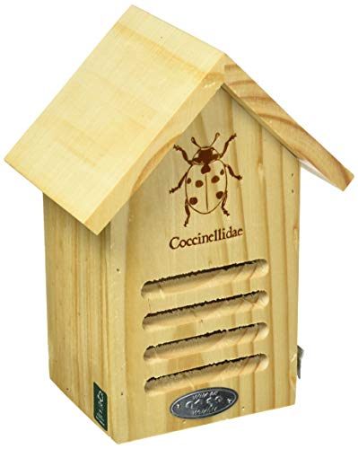 Esschert Wa37 Ladybug Maison avec Ligne Dessin