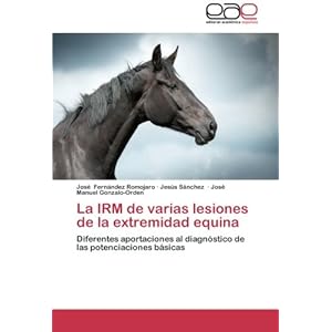 La IRM de varias lesiones de la extremidad equina: Diferentes aportaciones al diagnóstico de las potenciacion