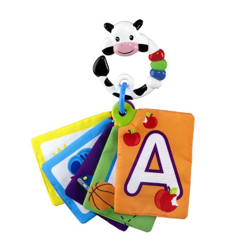 Preisvergleich Produktbild Baby Einstein Discovery Karten Formen und Buchstaben